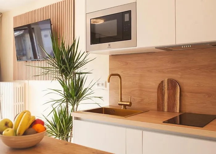 Apartmán Sofi Appart-hotel, Balcon, Parking Prive Mety